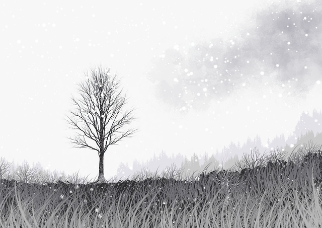 蘑菇视频:沉浸式探索与省流量秘籍