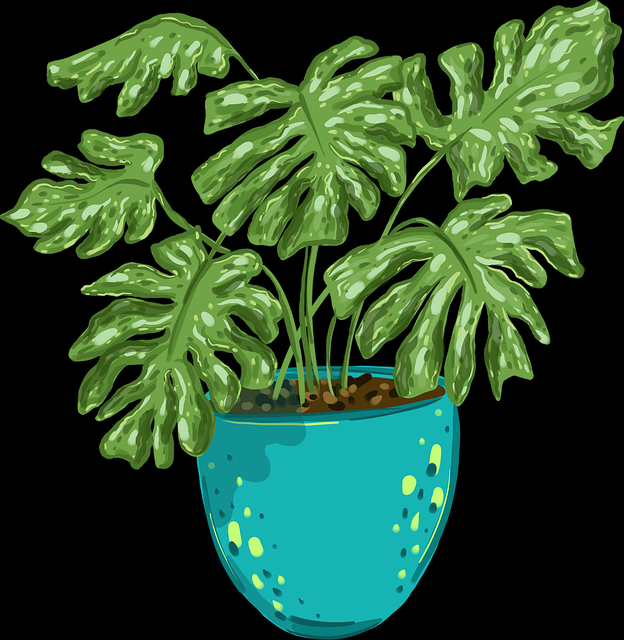 P站官网入口×品牌升级：2025爆款逻辑【附案例】