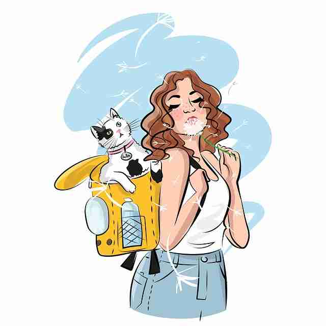 蘑菇视频下载互动下载新手入门