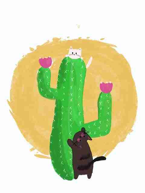 每日大赛黑料站上风口,专家级解析