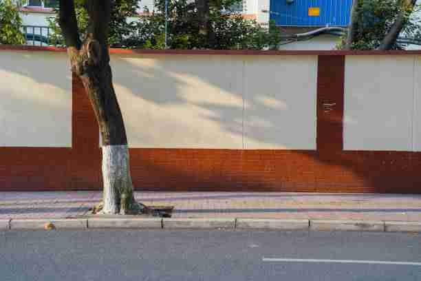 极速蘑菇视频iOS下载：影迷福音